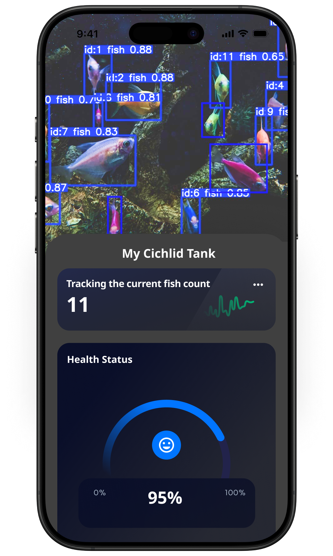 Fish Activity & Population Tracking